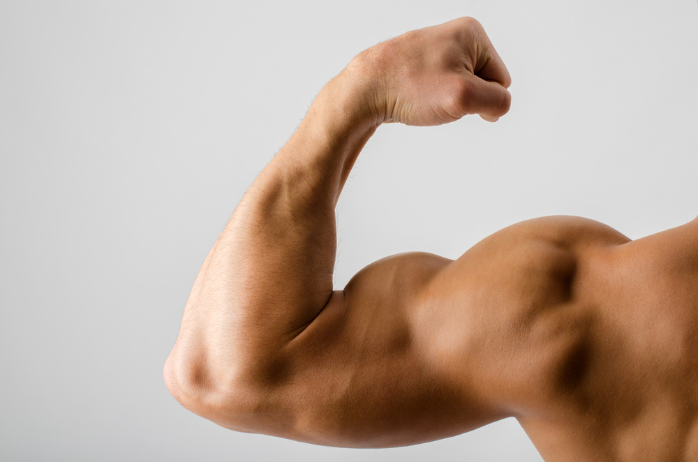 Does Testosterone Build Muscle UltraCorePower